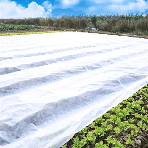 Agriculture